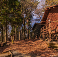 星の森 ヴィラゾーン